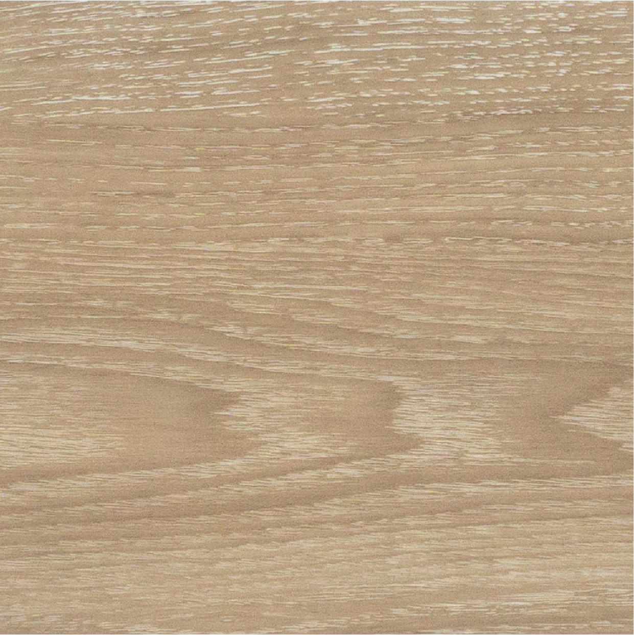 Alpine Maple