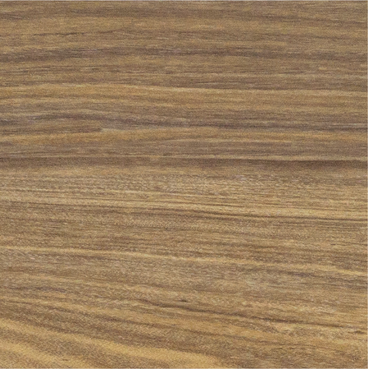 Alpine Walnut